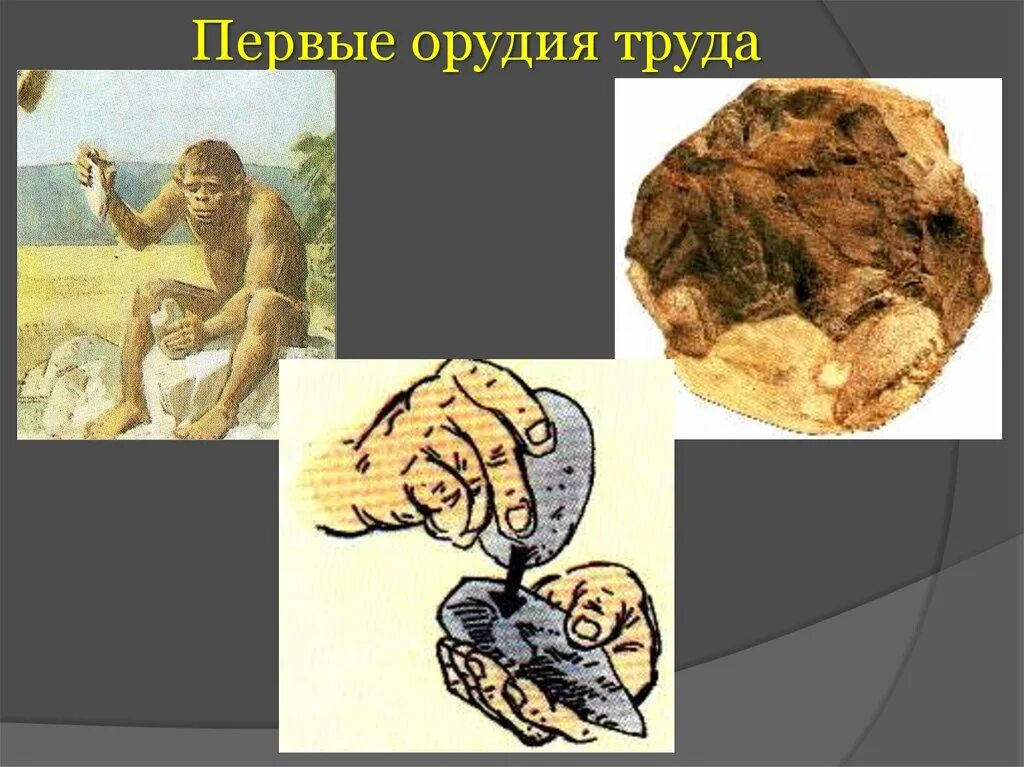 Тема древнейшие люди 5 класс. Презентация на тему древнейшие люди. первые занятия древнего человека. труд древнего человека. занятия древних людей 5 класс.