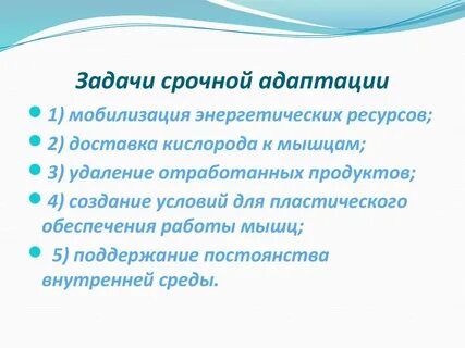 В основе адаптации лежит