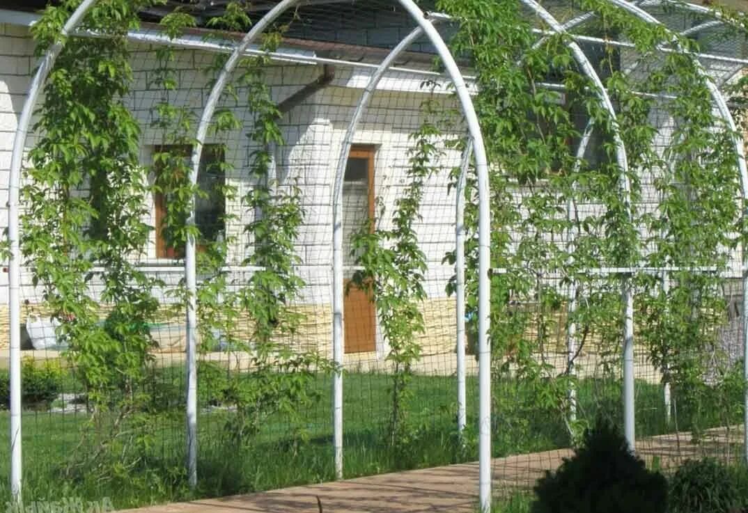 Арка для винограда, новый, под заказ. Цена: 500 ₽ в Хабаровске