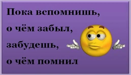 Че молчишь. Все забыла что ли. Про меня все забыли мем. А где та с аллергией. Забудь меня мем.