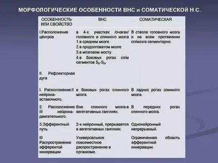 Соматическая и вегетативная работа сердца