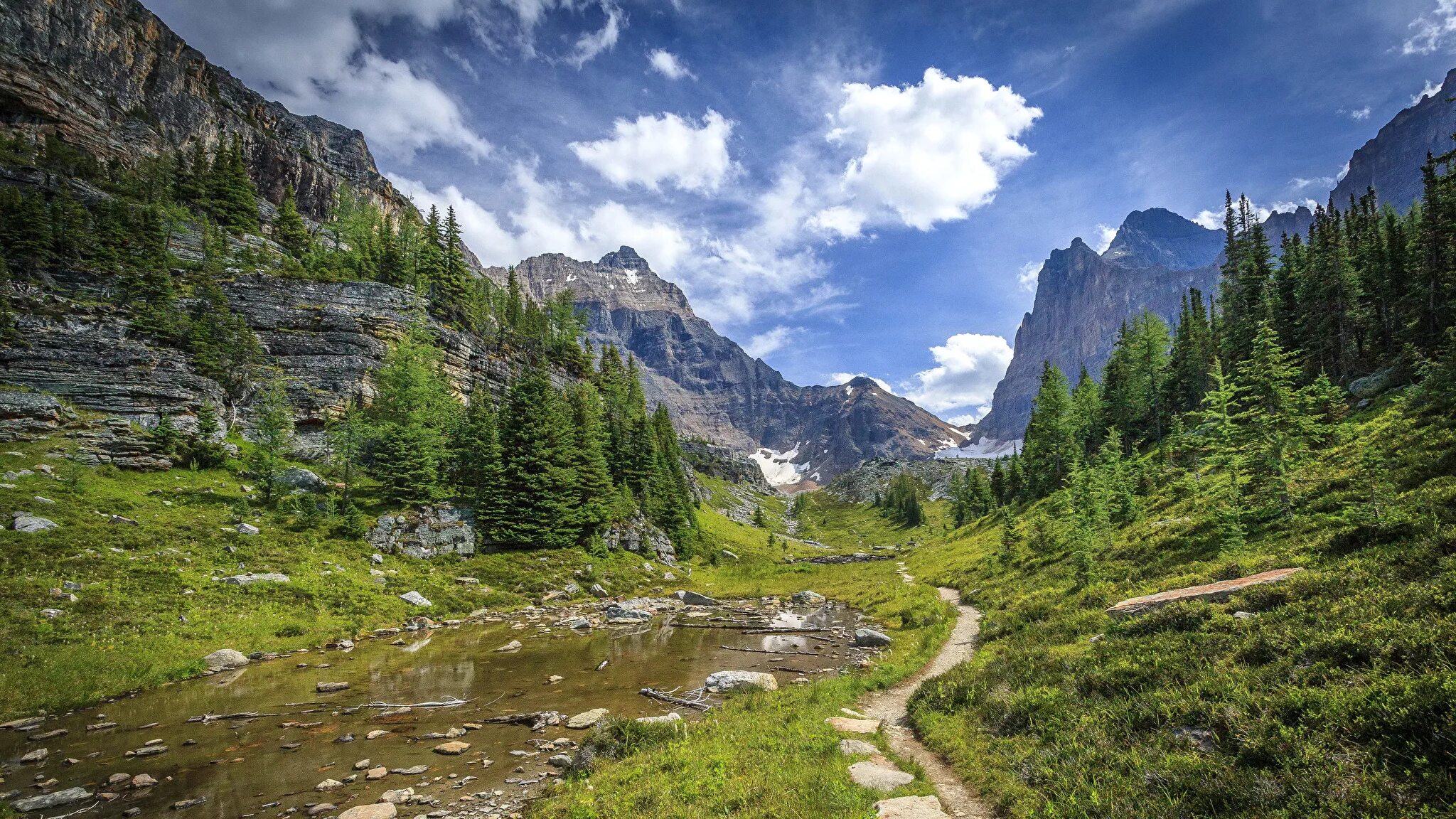 Forest side