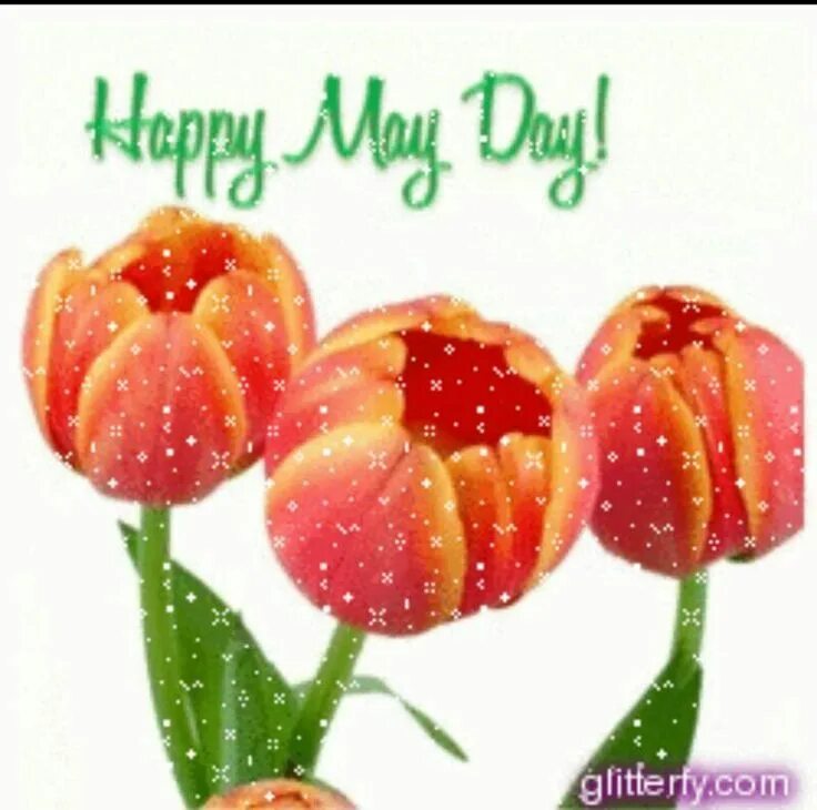 Happy may day. Happy May. 1 Мая тюльпаны. Happy 1 May. 2 Мая гиф.