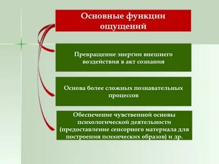 Роль ощущений в познавательной деятельности