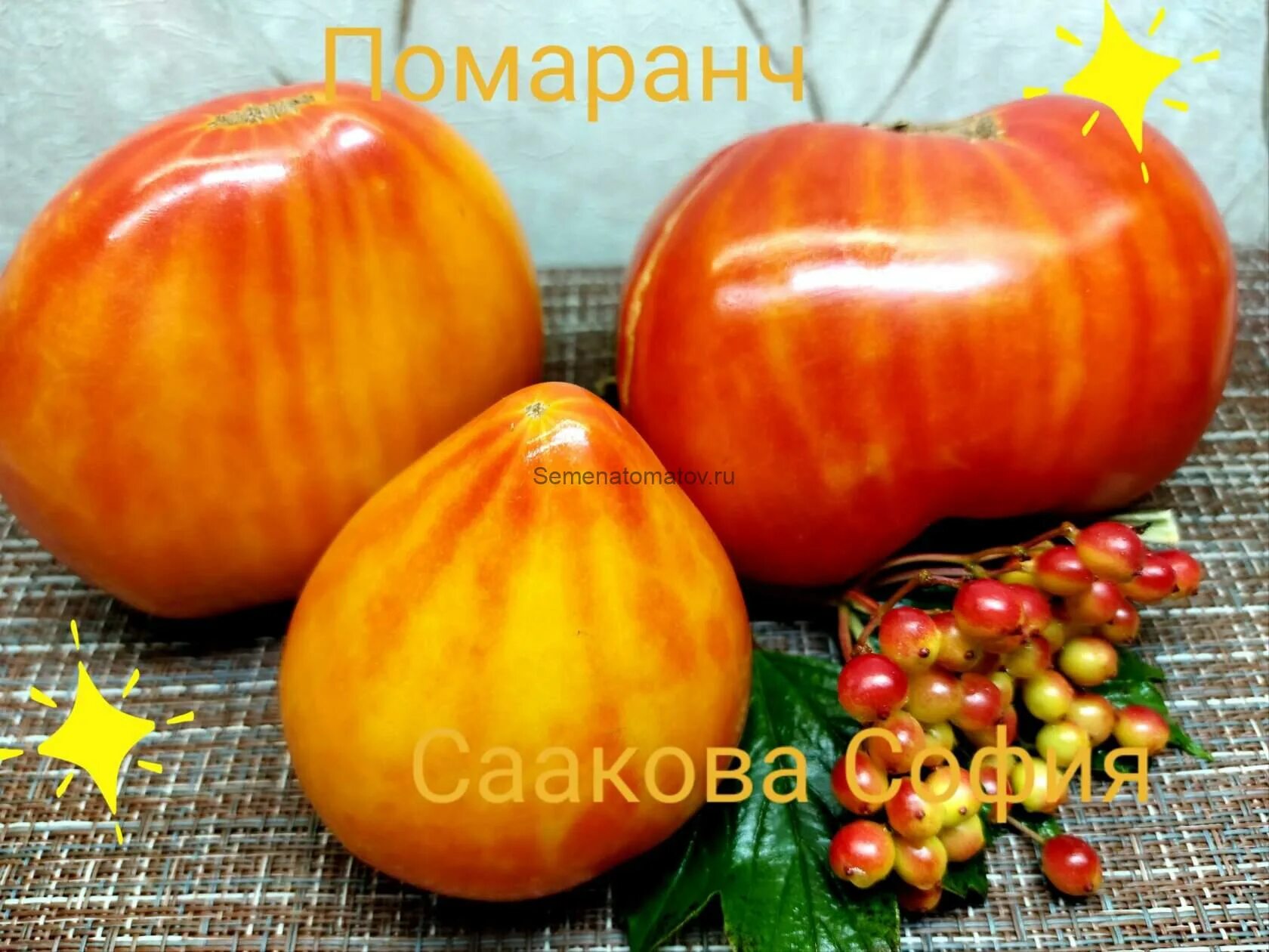 Томат помаранч. Томат помаранч