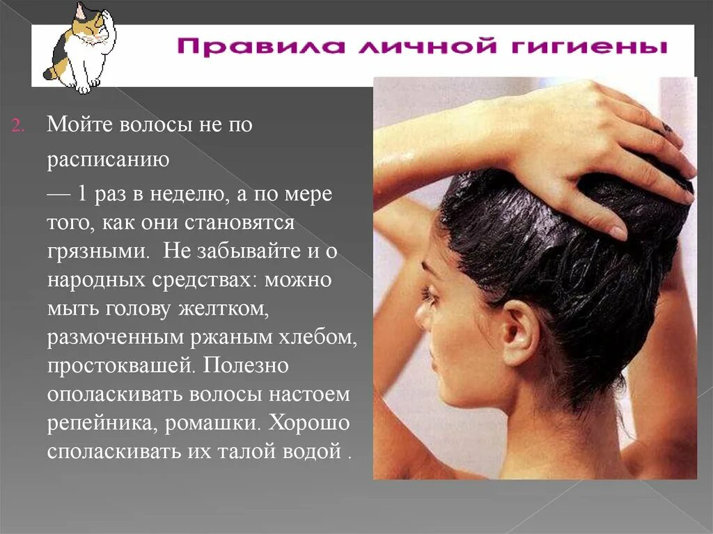 Гигиена волос. Гигиена кожи головы. Графика мытье волос. Интересные факты о волосах.
