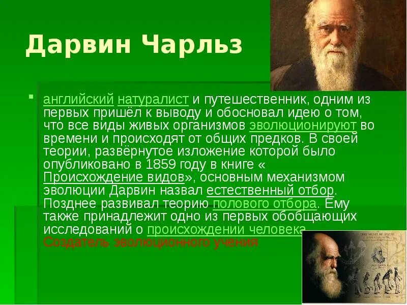 Кроссворды для печати. Дарвин сканворд. Коллекция сканвордов. Кроссворд напечатать. Дарвин сканворд.