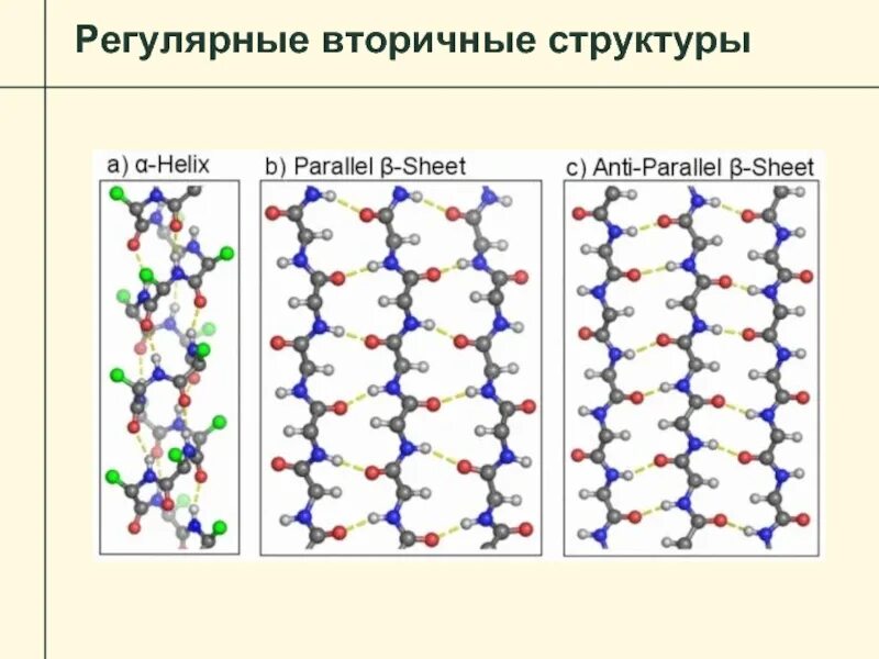 Состав d3. Альфа спираль вторичной структуры. Строение вторичной структуры белка формула. Вторичная структура. Наличие регулярной вторичной структуры.