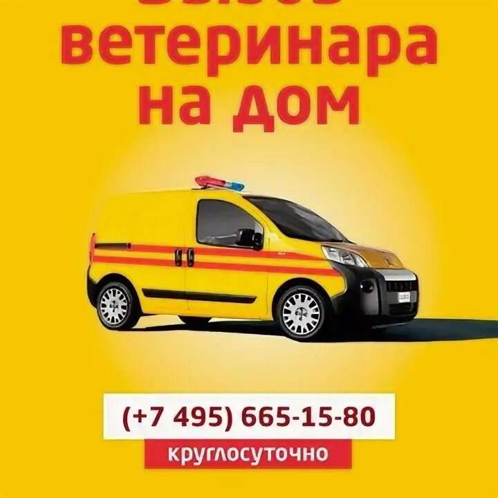 Круглосуточный выезд ветеринара
