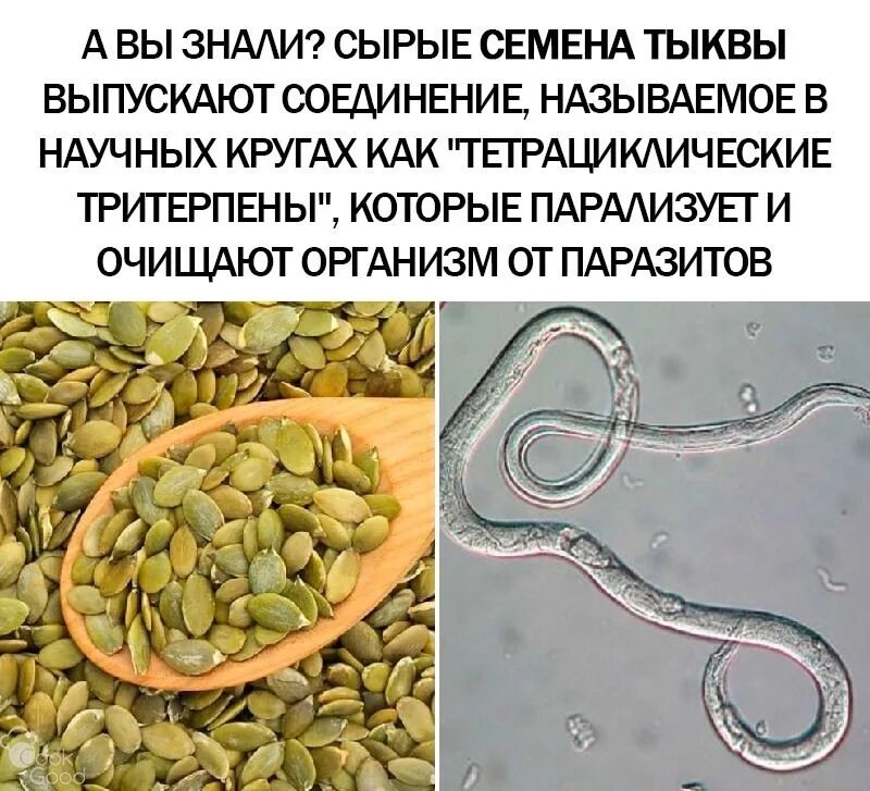 Сколько нужно съесть семечек