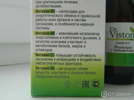 Сироп эхинацеи с витаминами