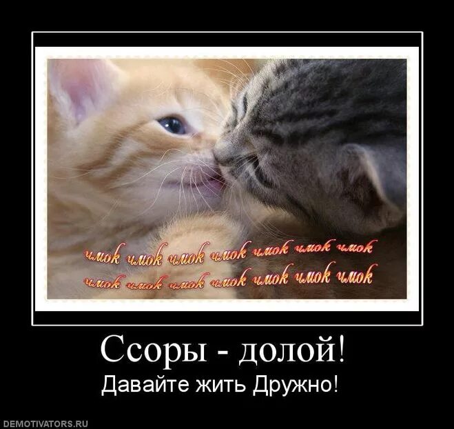 мужики живите так чтобы потом не пришлось спрашивать у ясеня. дай мужу жить. дай мужу жить. дай мужу жить. милые фразы.