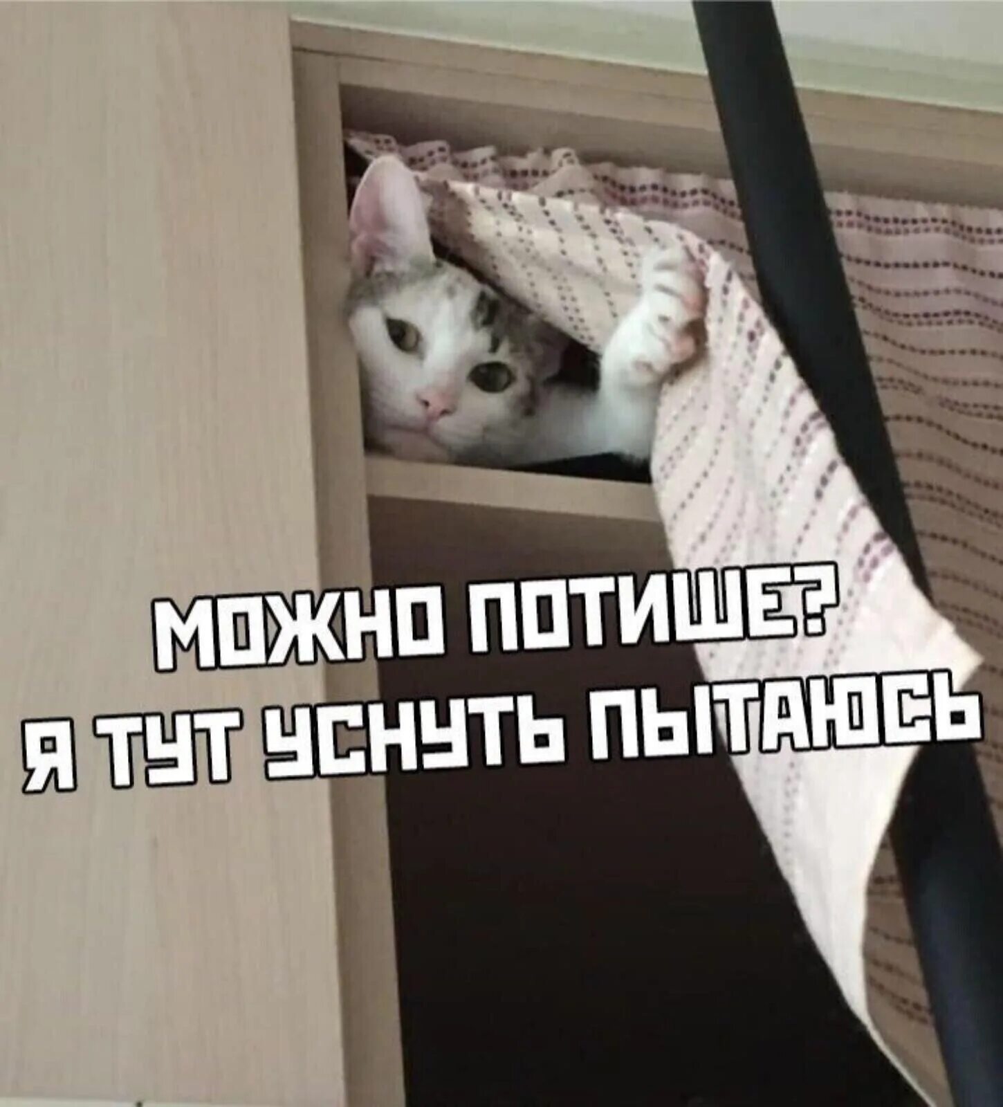 Можно потише звук. Кот шумит. Тыгыдыкал всю ночь. Когда всю ночь. Кот тыгыдык ночью.