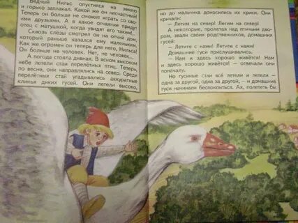 Путешествие нильса с гусями главная мысль