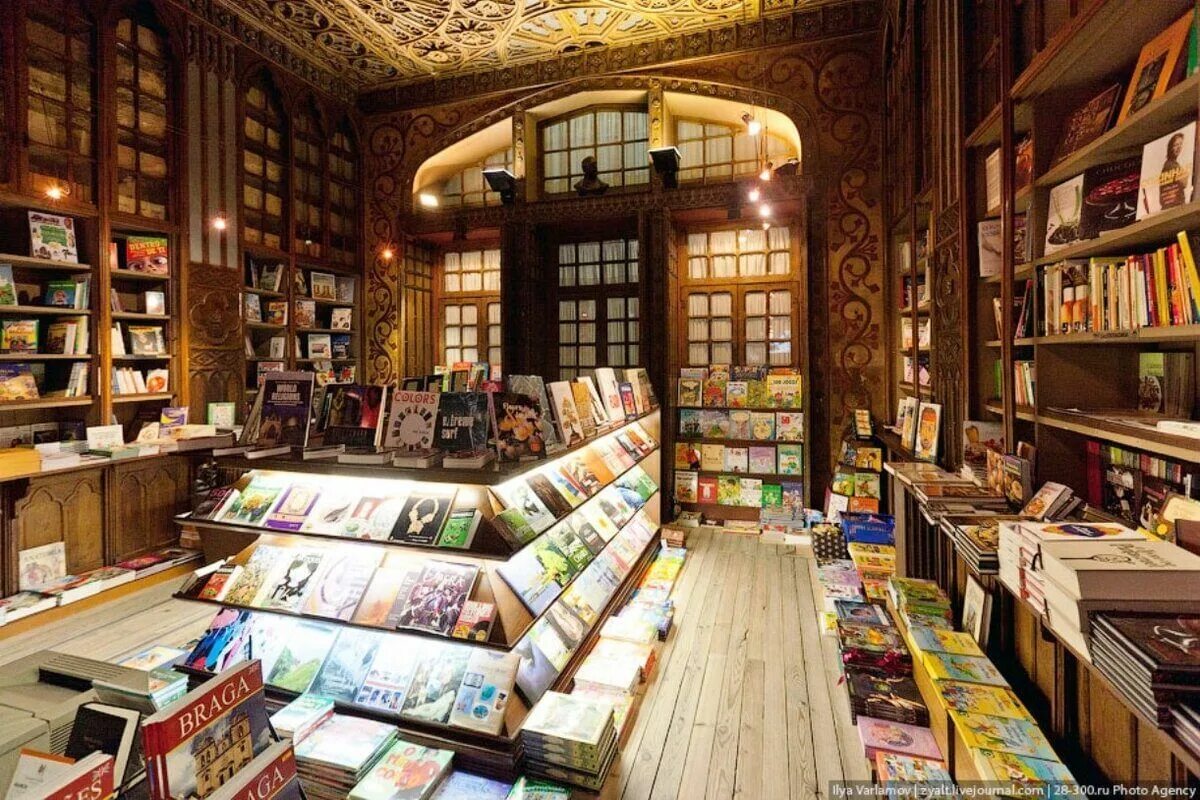 Книжный магазин Livraria Lello. Самые красивые книжные магазины. Прилавок с книгами. Книжный магазин фото. Красивый книжный магазин в москве