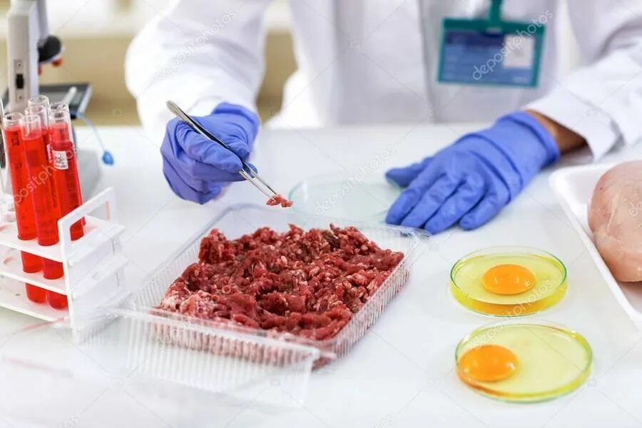 Оценка качества безопасности продуктов. Экспертиза продуктов. Ветеринарно-санитарная экспертиза. Санитарная экспертиза пищевых продуктов. Лабораторные исследования мяса.