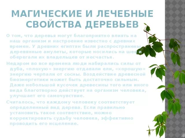 Целебные свойства деревьев. Полезные свойства деревьев. волшебные свойства деревьев. полезные свойства древесины. осина дерево полезные свойства магические свойства.
