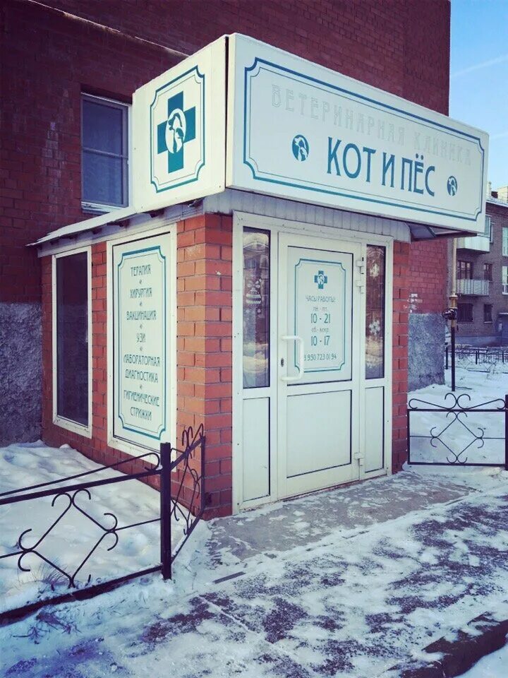 ветеринарная кот и пес телефон. ветклиника кот. кот в ветеринарной клинике.