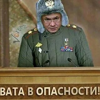 Картонный шойгу
