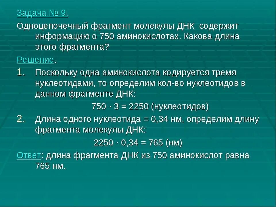 Решение задач ДНК. Задачи на ДНК И РНК С решением. Длина фрагмента ДНК. Какова длина этого фрагмента ДНК. Масса одного нуклеотида днк