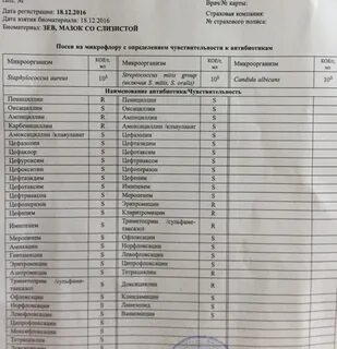 Стафилококк ауреус 10 в 4