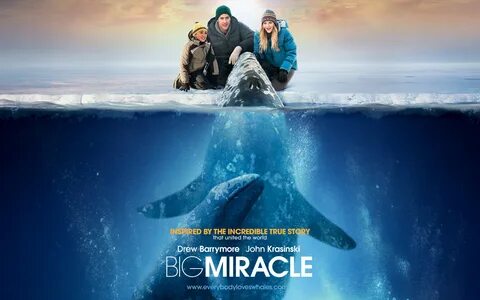 QHD Big Miracle wallpaper. movie, big miracle. 