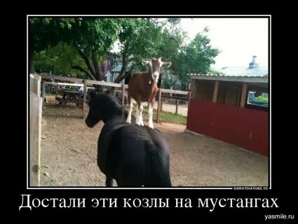 То не достает то это