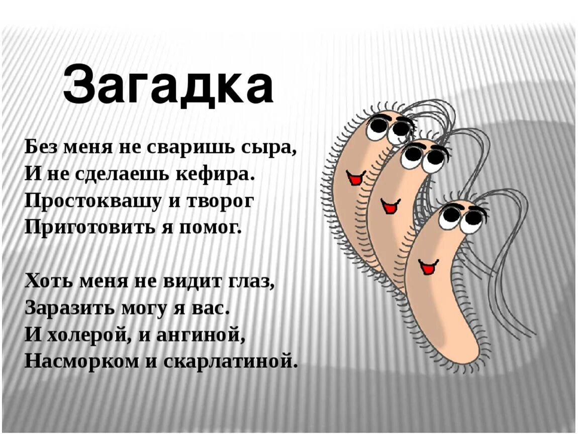 Загадки про бактерии. Стих про бактерии. Загадка про микробы. Стишки о микроорганизмах. 5 загадок по биологии