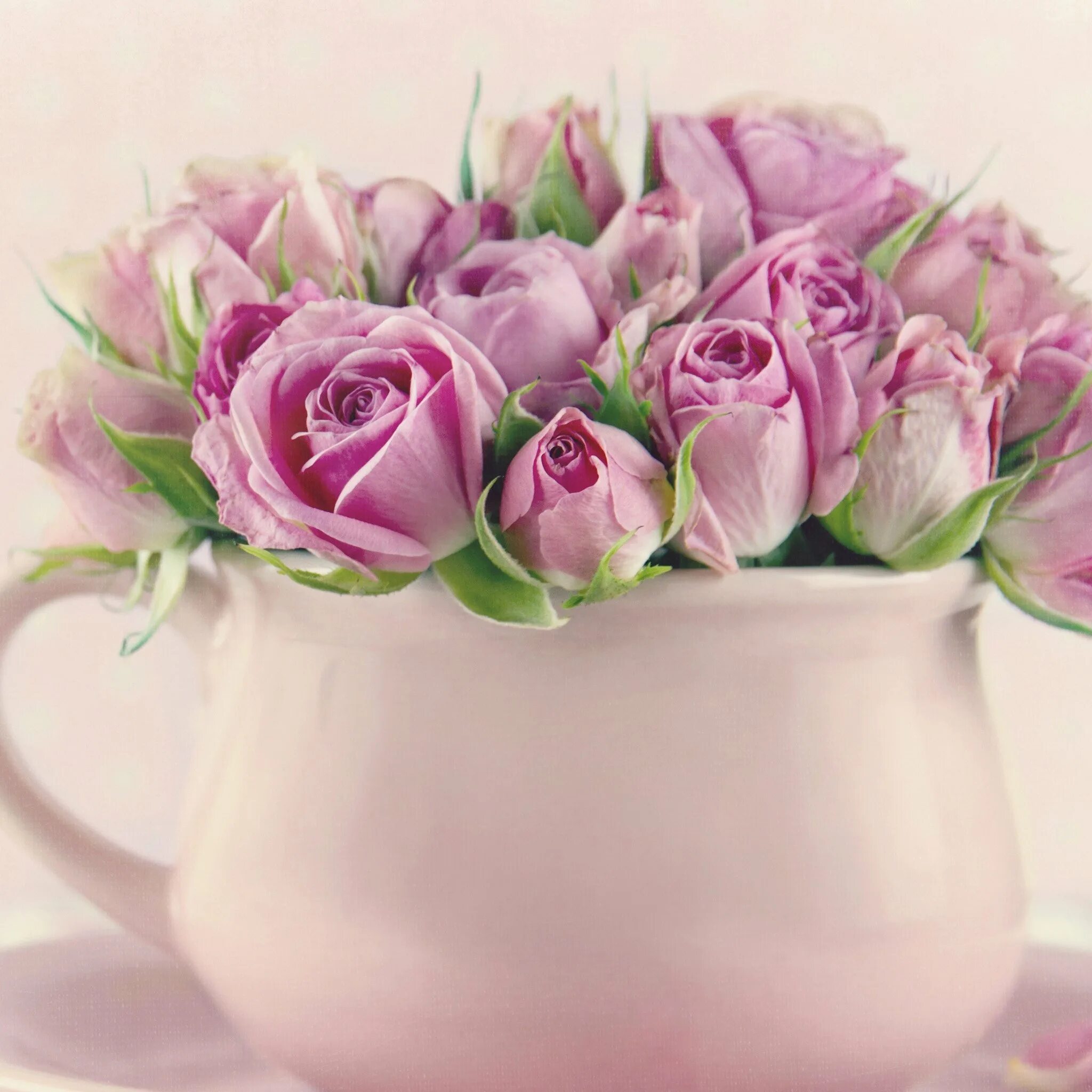Пусть каждый ваш день будет наполнен радостью. Цветы в чашке. Открытки с добрым утром с цветами. С добрым утром цветы красивые. Красивый букет в чашке.