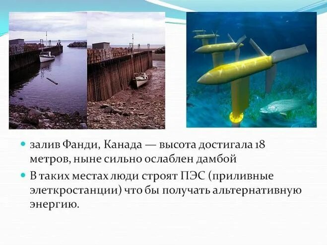 В каком заливе наблюдаются самые высокие приливы. В каком заливе наблюдаются самые высокие приливы