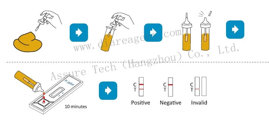 Определение хеликобактер пилори в Кале. Определение антигена Helicobacter pylori в Кале. Определение антигена h. pylori в Кале. Кал на антиген к хеликобактер пилори. Определение хеликобактер в кале