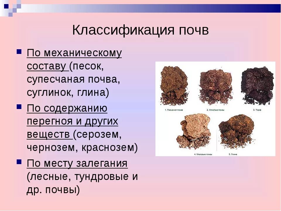 Классификация почв. Структура почвы. Классификация типов почв. Структура почвы виды. Состав почвы 6 класс география