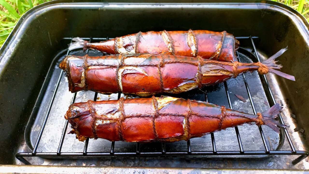 Копчение рыбы скумбрия. Скумбрия в коптилке. Скумбрия горячего копчения. Скумбрия в коптилке. Коптить скумбрию горячего.