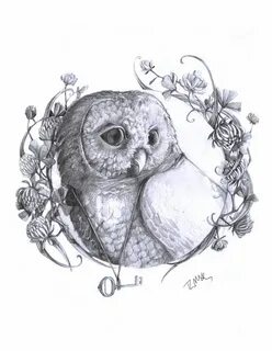Рисунок красивой совы