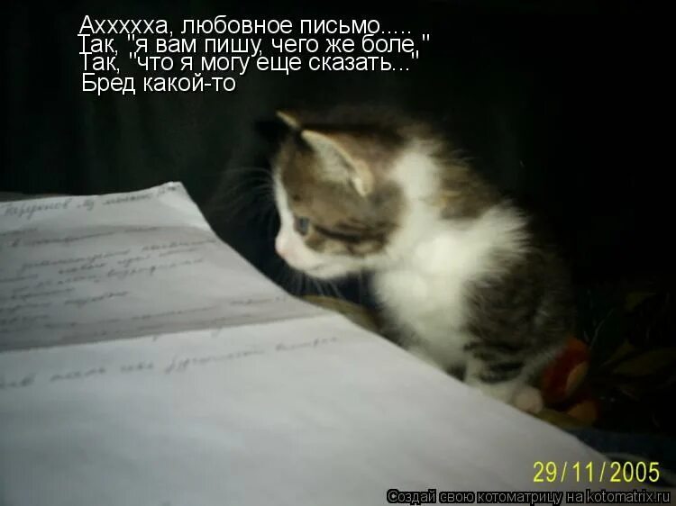 Я к вам пишу чего же боле. Я вас люблю чего же боле. «Я вам пишу, чего же боле..». Я вас люблю чего же боле шуточное. Я вас люблю чего же боле картинки.