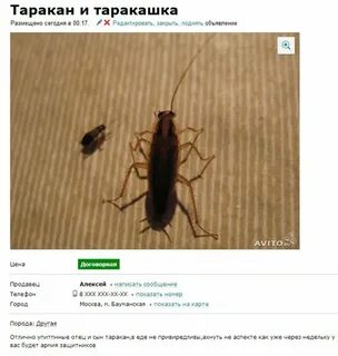 Авито саки объявления