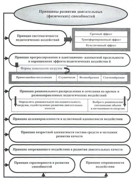 Методы развития физических способностей. Принципы развития физических способностей. основы теории и методики развития физических качеств. принципы развития физических способностей таблица. схема «средства развития физических качеств».