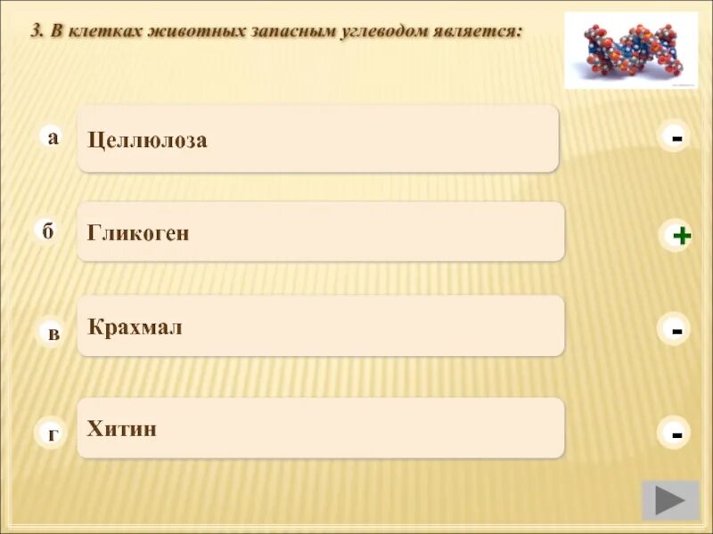 Запасным углеводом человека является. Запасной углевод в клетках животных. В клетках животных запасным углеводом является. Запасным углеводом в животной клетке является. Запасным углеводом в клетках печени человека является 1 Целлюлоза.