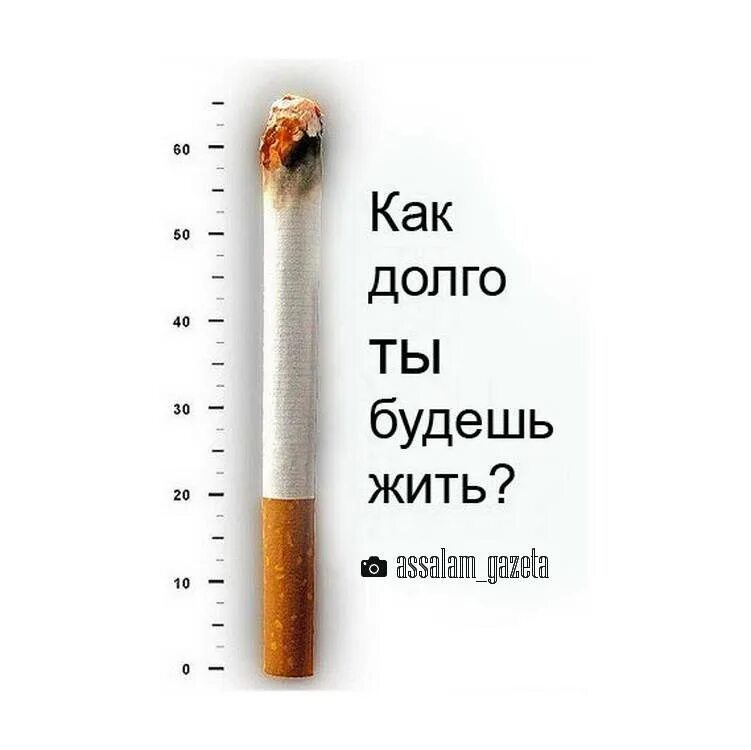 Курение вредно. Вред сигарет. Курить вредно. Курение картинки.