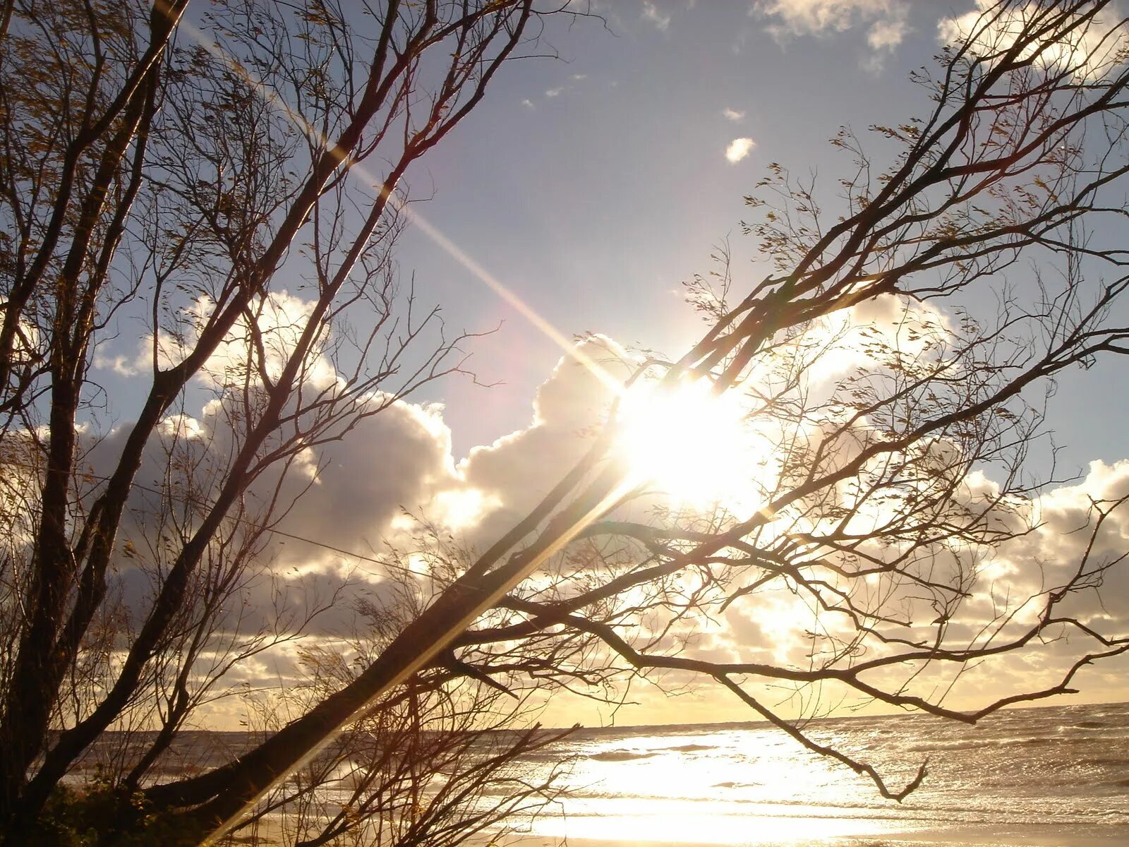 2 brightly is shining sun the. Summer is bright стих 3 класс. Red sun is shining brightly. лес. проект на темы with the sun shining.