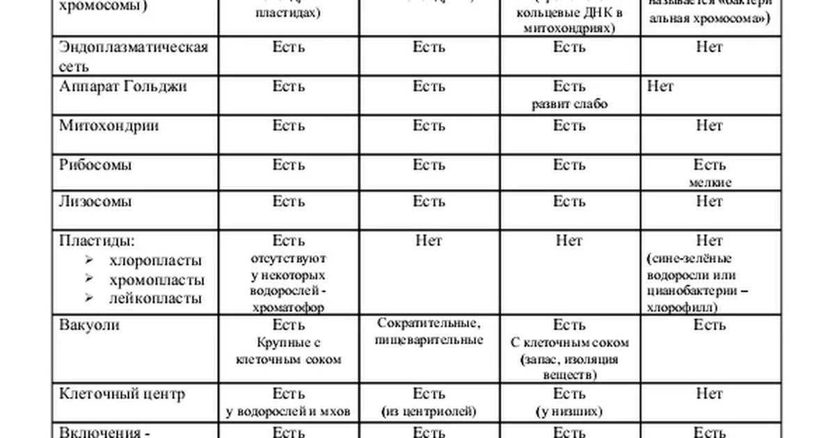 Строение клеток грибов растений и животных таблица. Строение клетки таблица растения животные грибы бактерии. Строение клеток растений животных грибов и бактерий таблица. Сравнительная таблица клеток растений животных бактерий грибов. Сравнение бактерий и растений