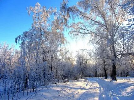 Январь 24 год