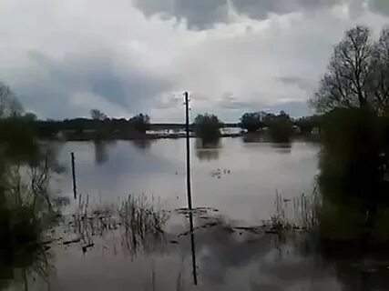 На сколько метров поднимется река ишим