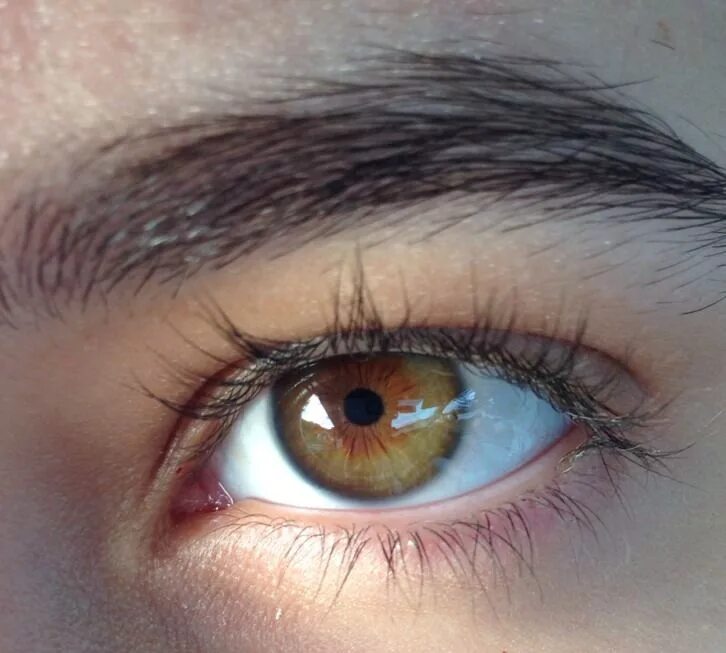 Eye-Tracking Seen As Way To Detect Autism HuffPost