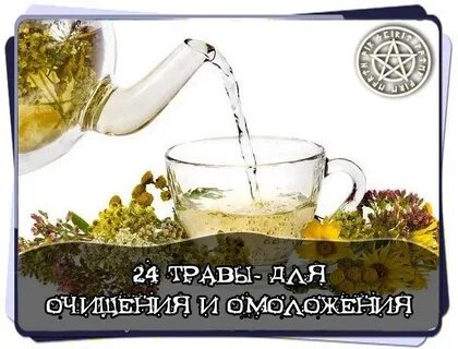 24 травы