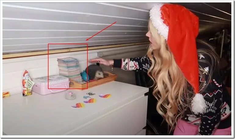 Настя кош эльф. Где живет настя в каком городе. Настя кош сейчас 2022. Настя кош. Где живет настя в каком городе.