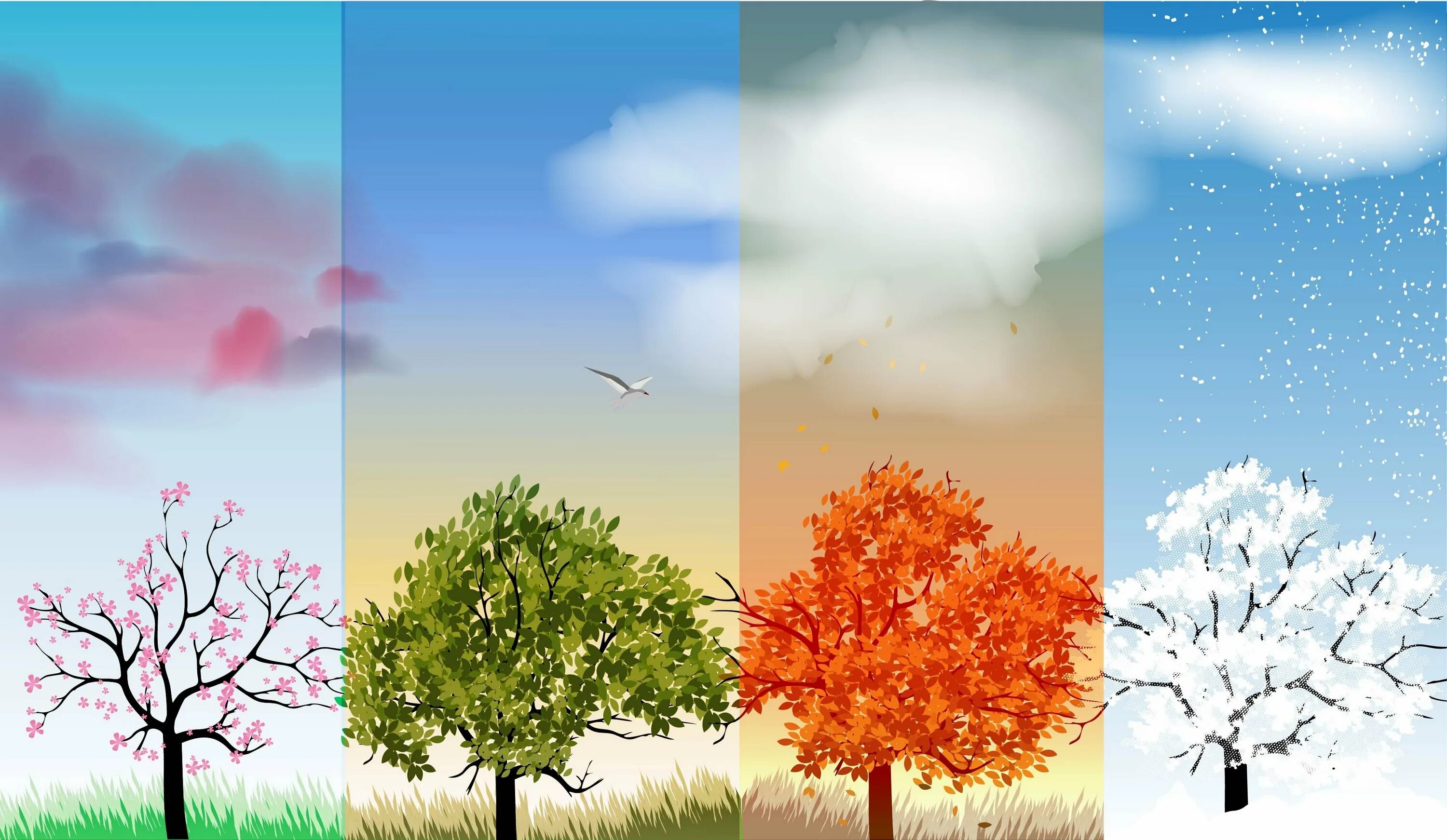 Сезонность летние. Времена года иллюстрации. Дерево летом осенью зимой и весной.