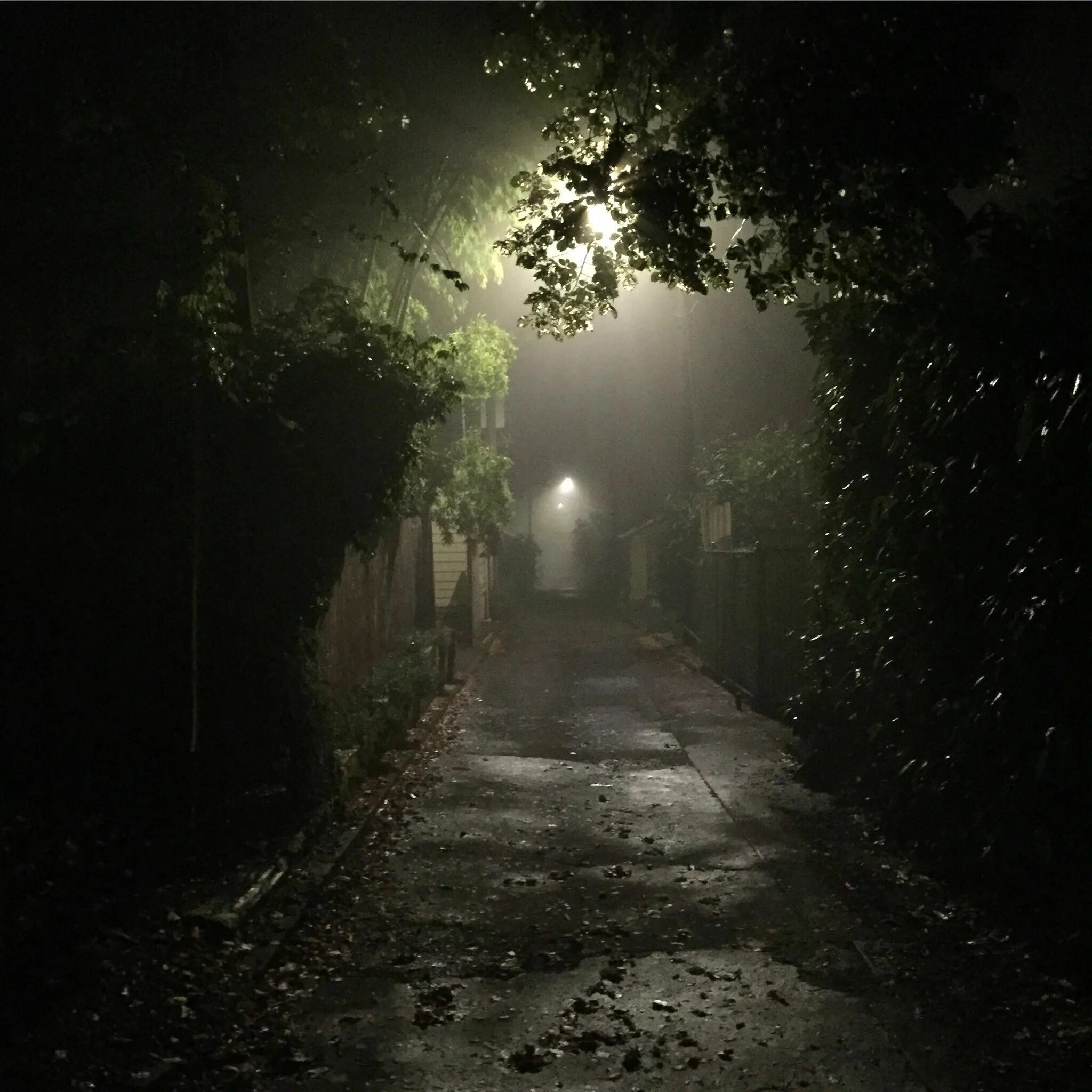 Туманный утренний город. Street in fog. Темная улица эстетика. Туман ночью. Улицы города в тумане.