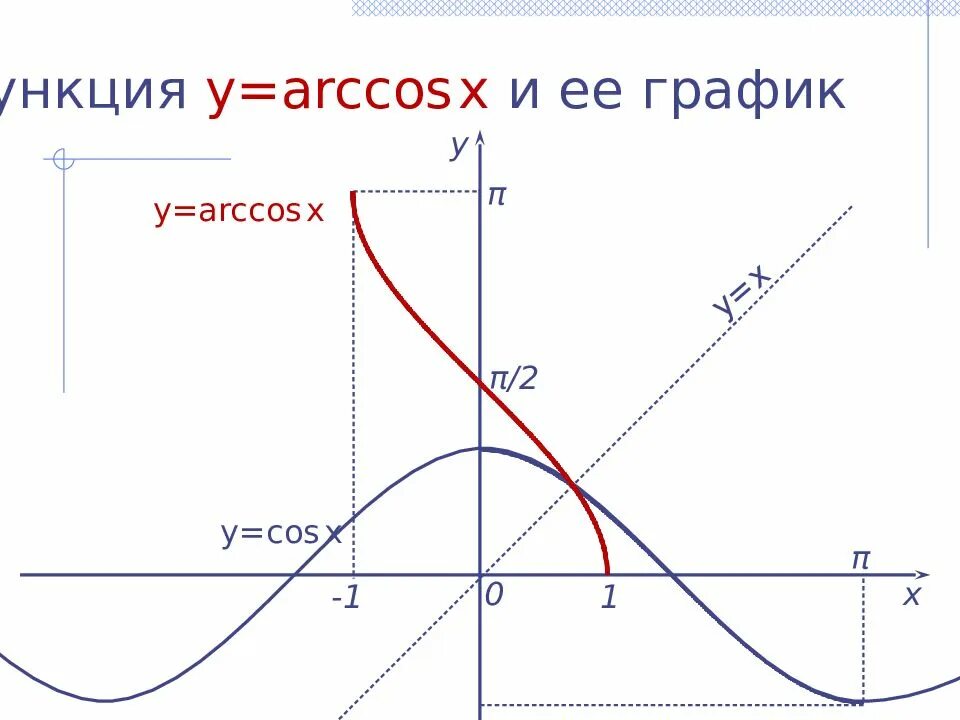 Область определения функции arccos x. Область определения функции arccos x
