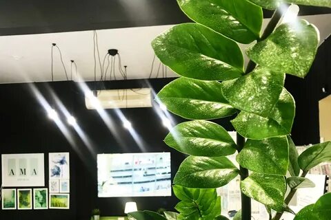 Студии железногорск